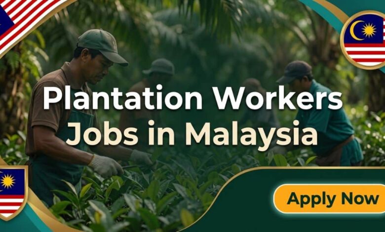 Plantation Workers Jobs in Malaysia