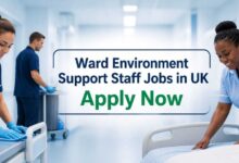 Ward Environment Support Staff Jobs in UK