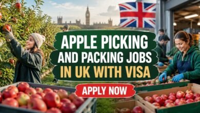 Apple Picking and Packing Jobs in UK With Visa