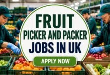 Fruit Picker and Packer Jobs in UK