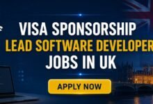 Visa Sponsorship Lead Software Developer Jobs in UK